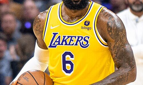 レブロン・ジェームズの着用バッシュまとめ【2025-26シーズン最新】