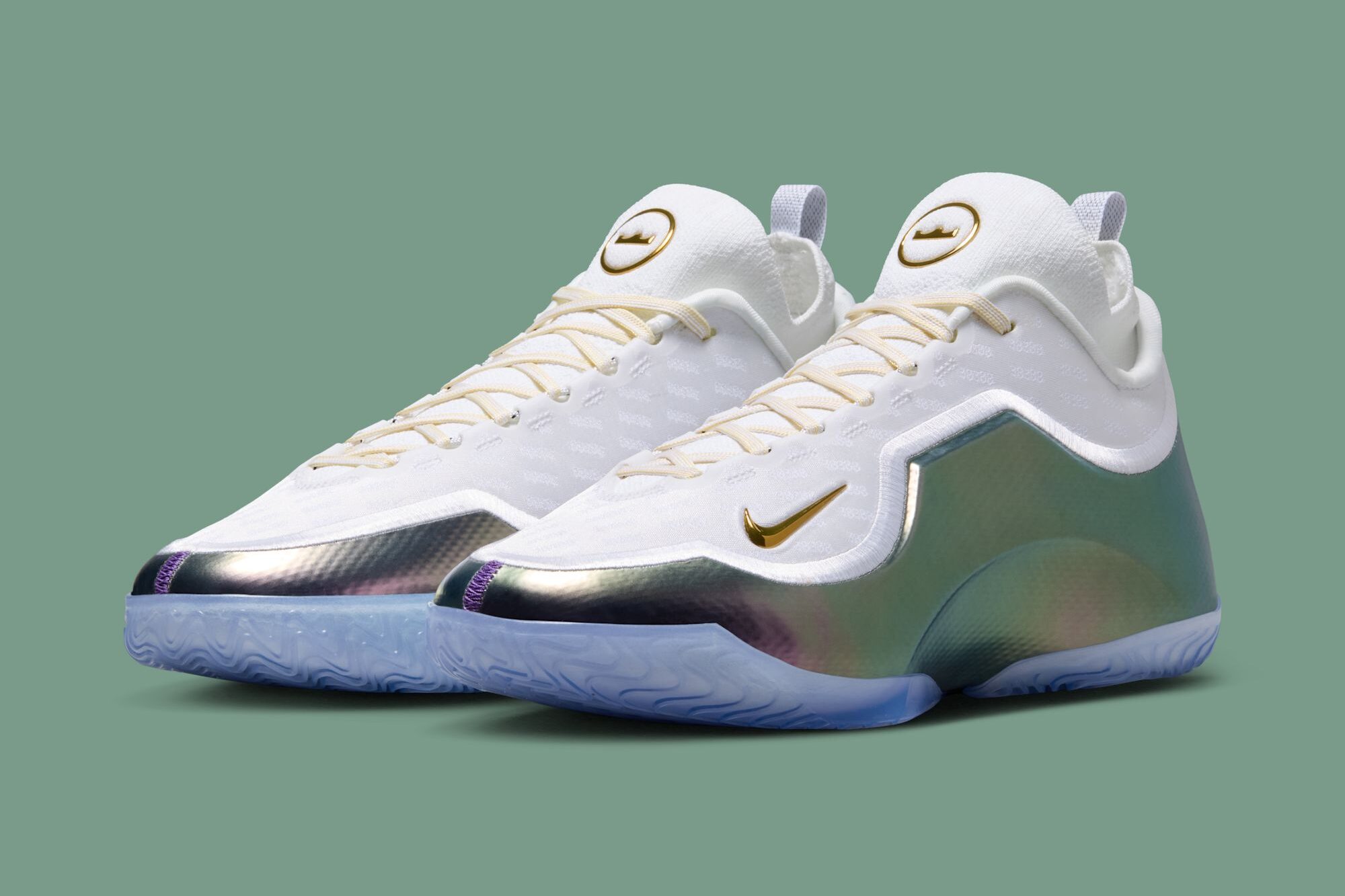 Nike LeBron 23 Elite For The Record - フルビュー