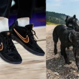 Nike Book 2 Haven and Hector