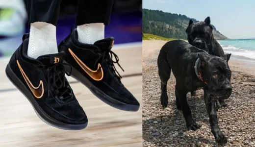 下のソーシャルリンクからフォロー