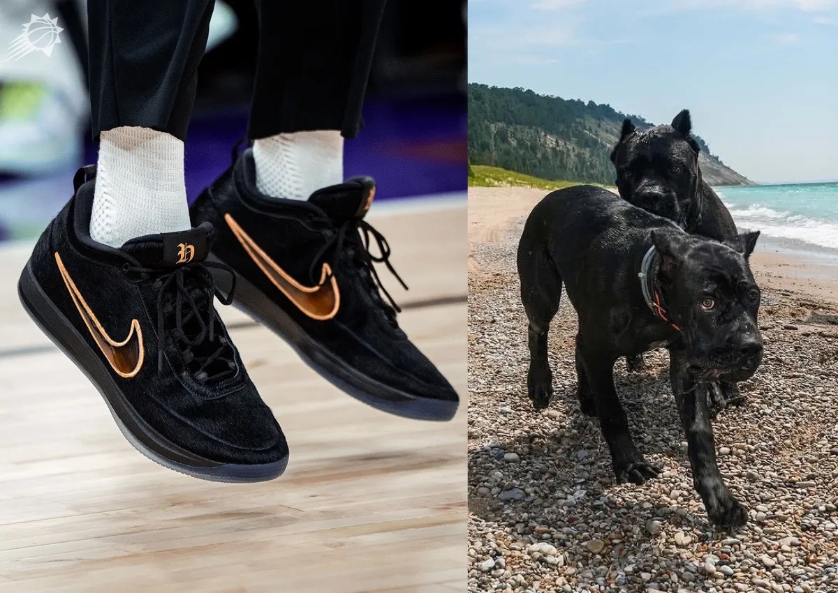 Nike Book 2 Haven and Hector