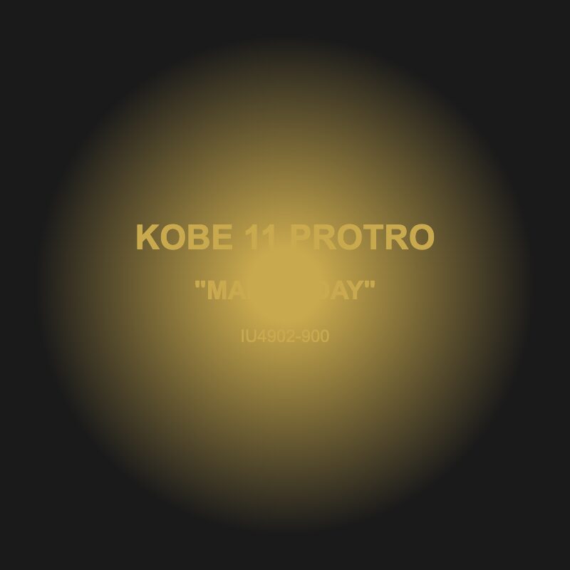 Nike Kobe 11 Protro ディテール