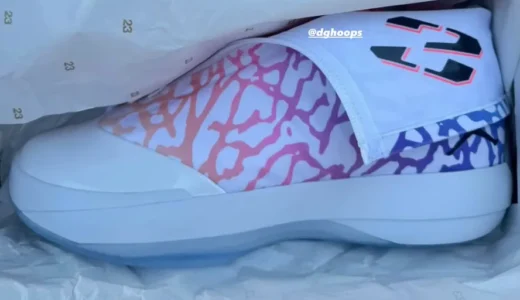 Air Jordan 4028 EYBL PEが初公開　虹色グラデーションのエレファントプリントが炸裂するハイブリッドモデル