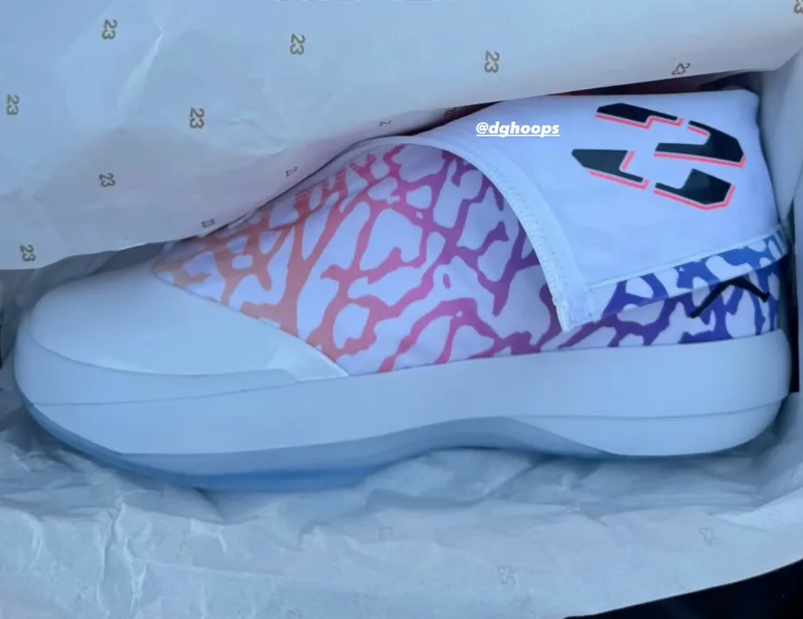 Air Jordan 4028 EYBL PE グラデーションエレファントプリント