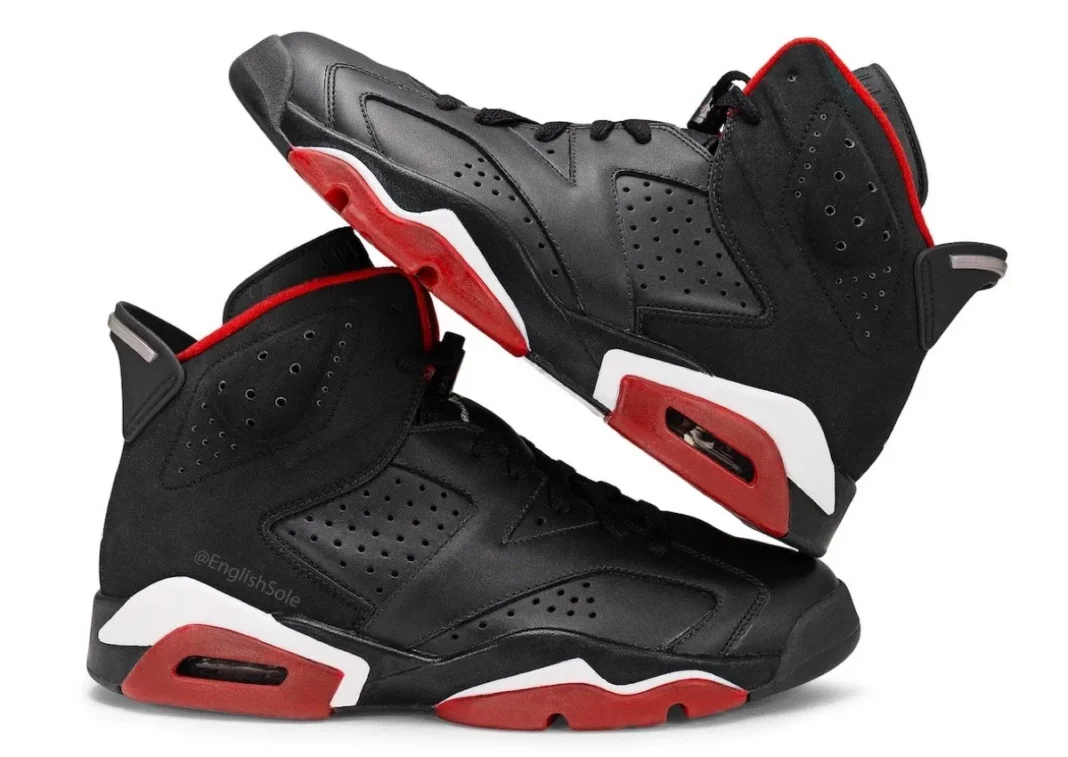 Air Jordan 6 Iridescent Bred Sample 2010