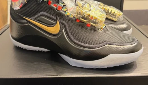 Nike LeBron 23「Watch The Throne」が浮上！LeBron 9の幻PEをブラック×ゴールドで受け継ぐ注目作——一般発売は未定