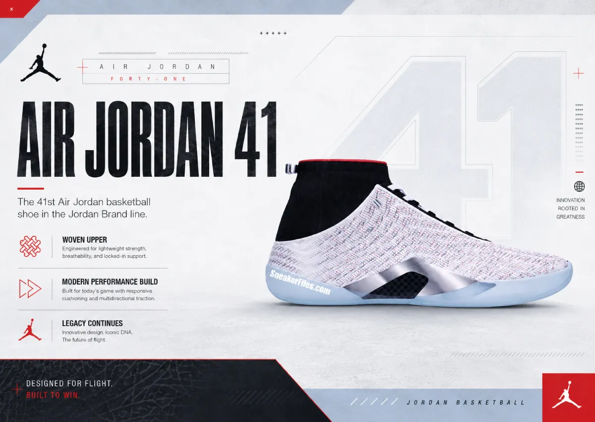 Air Jordan 41