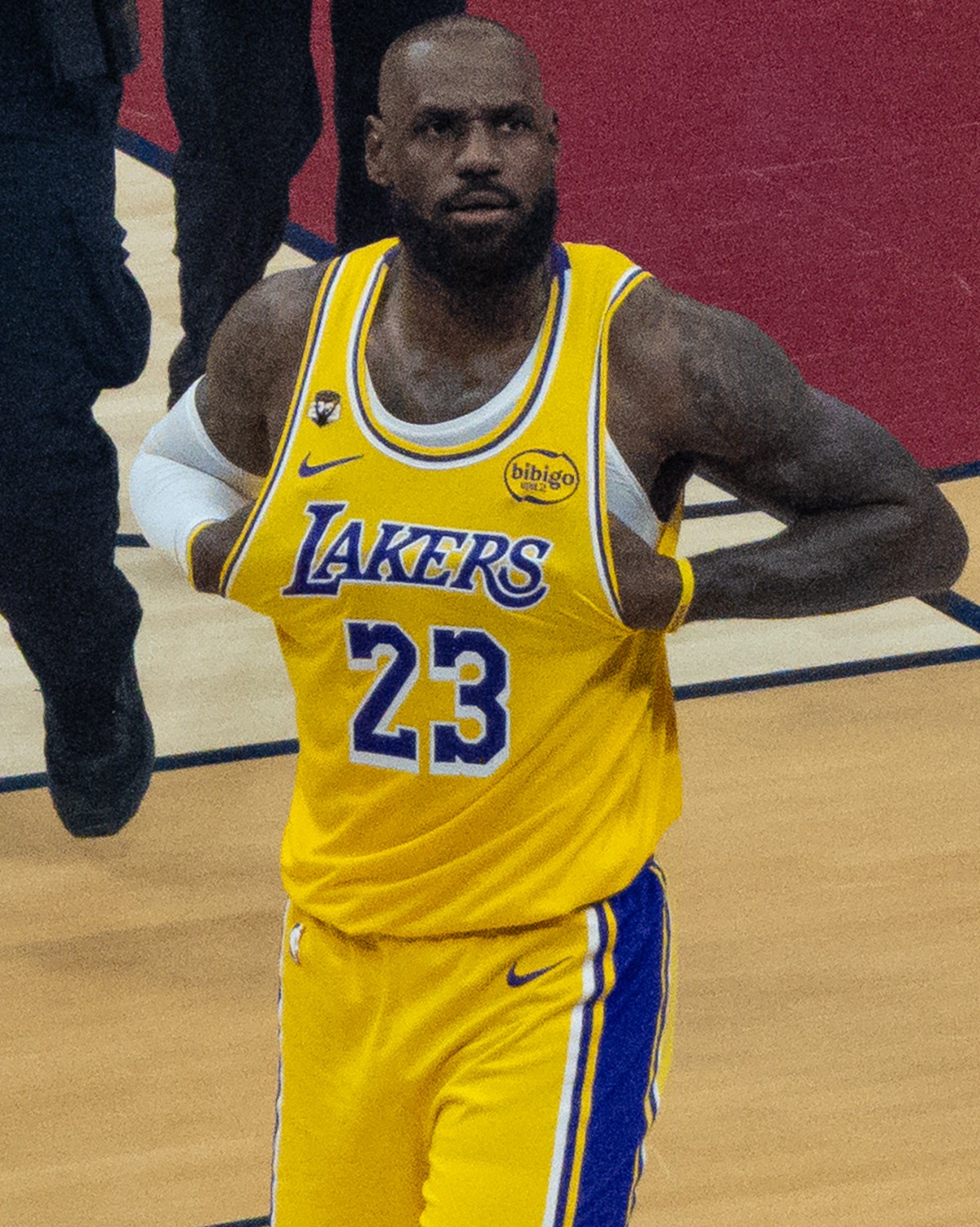 LeBron James