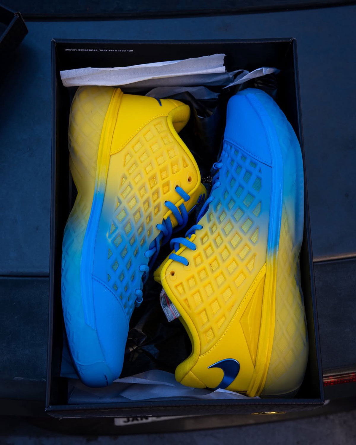 Nike Kobe 3 Low Protro The Shaw