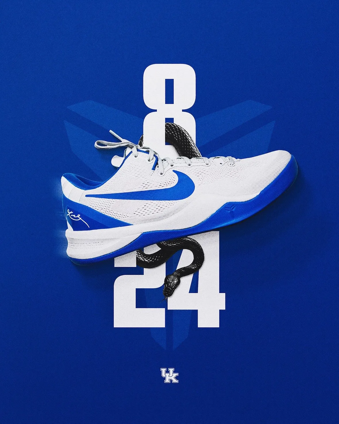 Nike Kobe 8 EM Protro Kentucky Wildcats PE