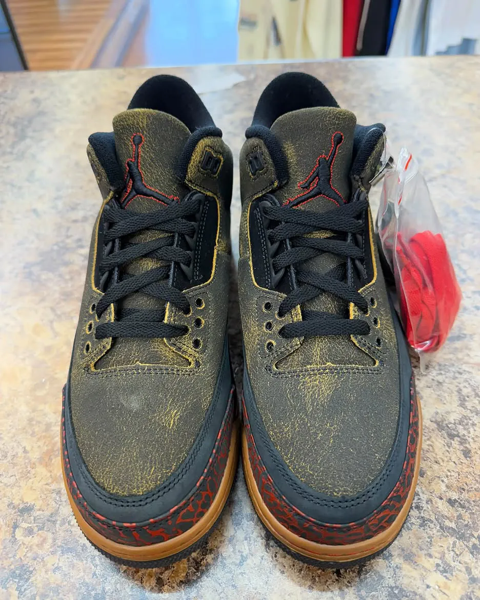 Air Jordan 3 Not Nice