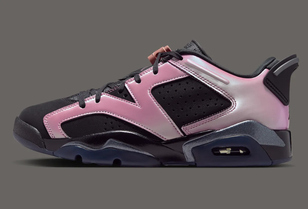 Air Jordan 6 Low Metamorphosis