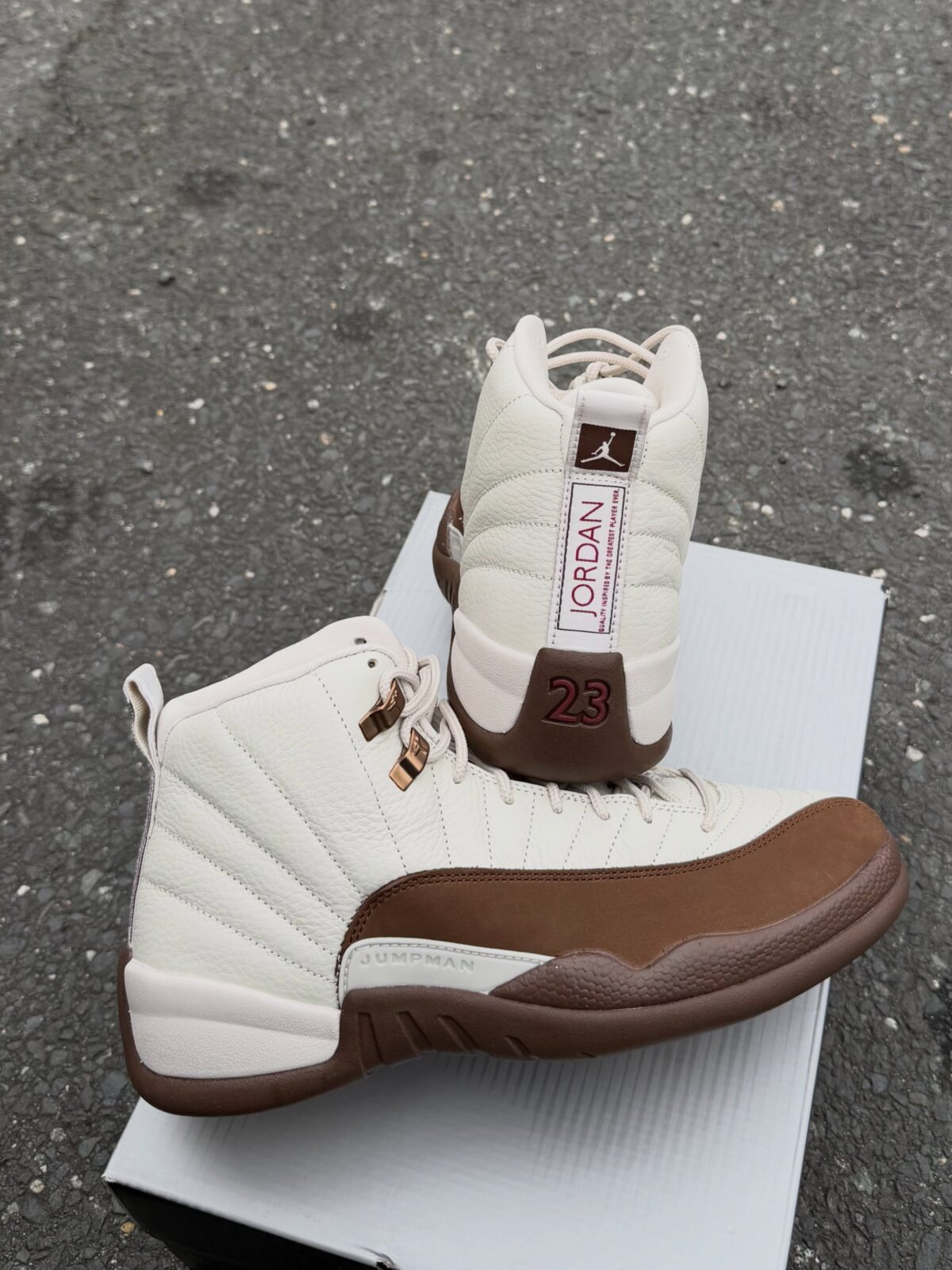 Air Jordan 12 Fireside CT8013-105